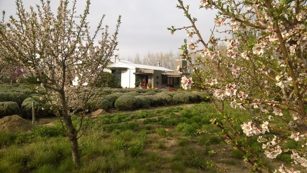 푸에르토마드린 La Calandria Casa De Campo 빌라 외부 사진