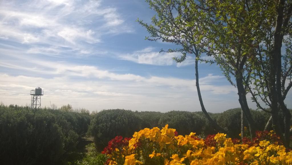 푸에르토마드린 La Calandria Casa De Campo 빌라 외부 사진